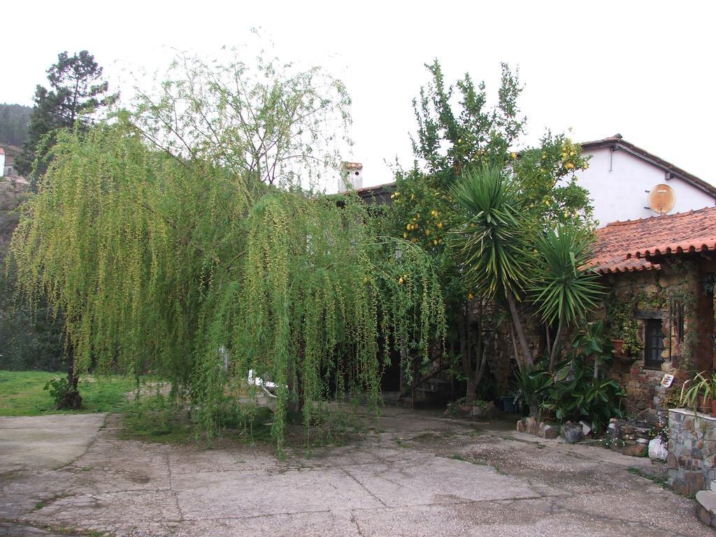 Chao Da Lousa Dornes Exterior photo